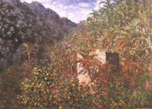 Olive Trees And Palm Trees In The Valley