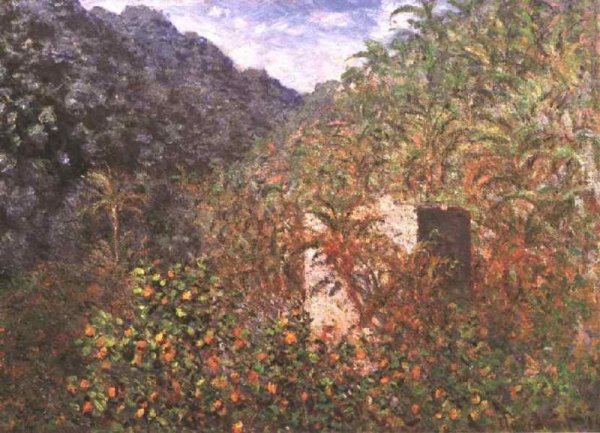 Olive Trees And Palm Trees In The Valley