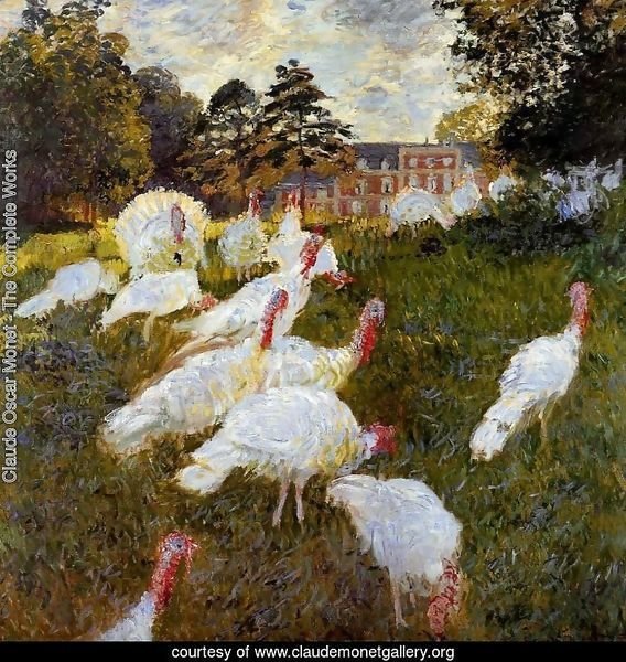 The Turkeys