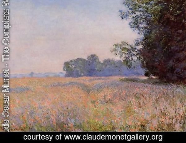 Claude Monet - Oat Field