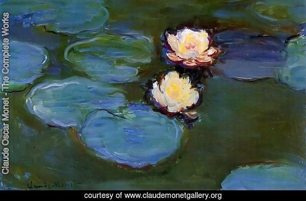 Water-Lilies 42