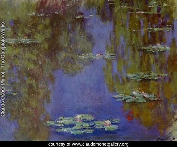 Water-Lilies IV
