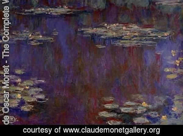 Claude Monet - Water-Lilies XIV