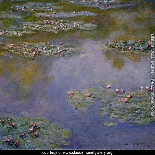 Water-Lilies 4