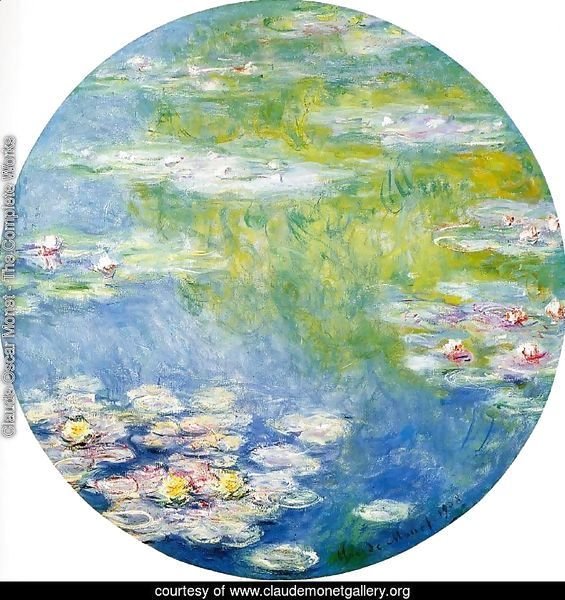 Water-Lilies 18