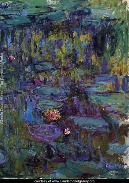 Water-Lilies 27