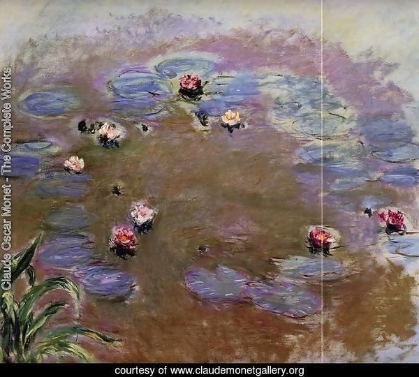 Water-Lilies (detail)