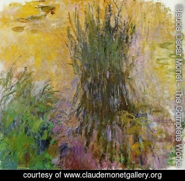 Claude Monet - Water-Lilies 34