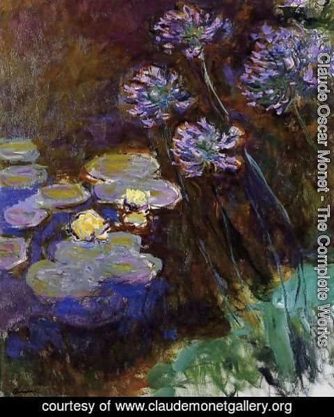 Claude Monet - Water-Lilies and Agapanthus