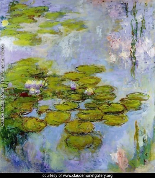 Water-Lilies 38