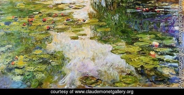 Water-Lilies 41