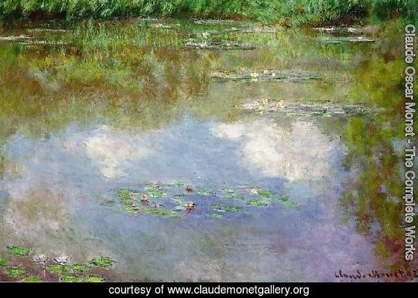 Water Lilies: Clouds
