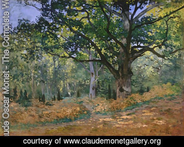 Claude Monet - The Bodmer Oak Fontainebleau Forest 1865
