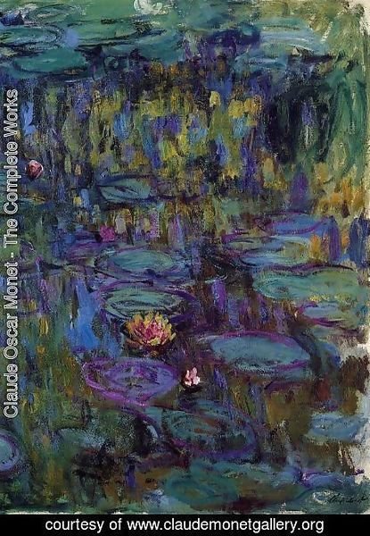 Claude Monet - Water-Lilies8 1914-1917
