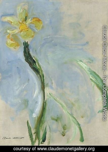 Claude Monet - Iris jaune