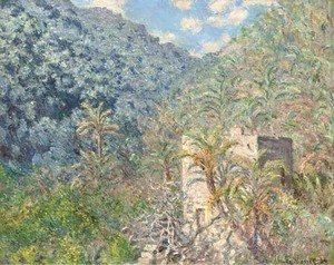 Oliviers et palmiers, vallee de Sasso