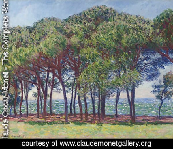 Claude Monet - Pins, cap d'Antibes