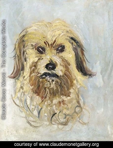 Claude Monet - Tete de chien griffon, Follette