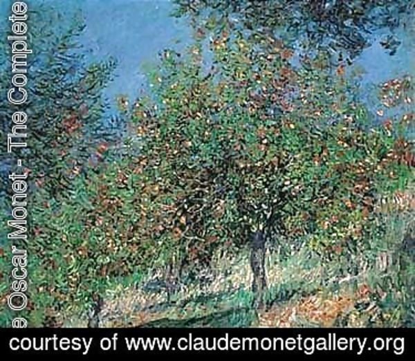Claude Monet - Pommiers sur la cote de chantamesle