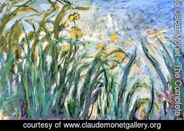 Claude Monet - Yellow Irises and Malva
