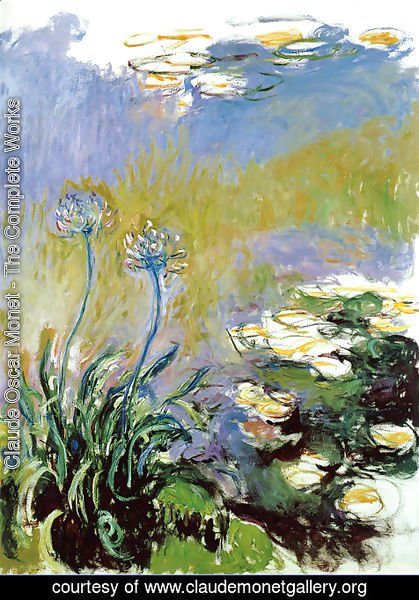 Claude Monet - Agapanthus2