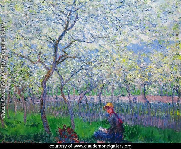 An Orchard In Spring