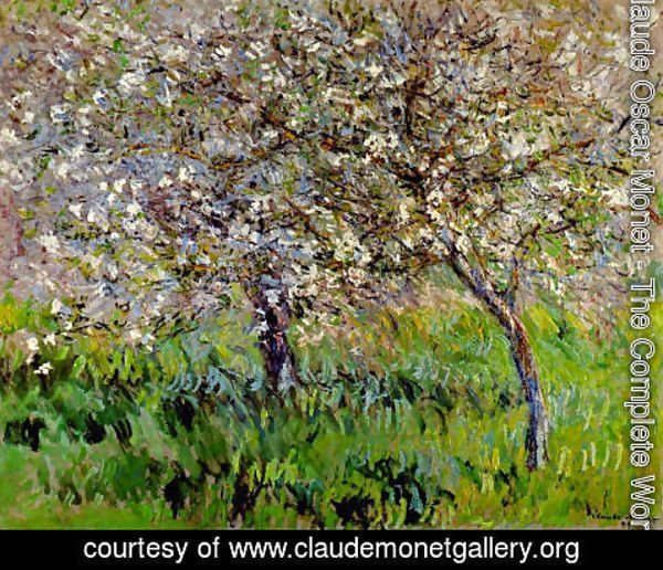 Claude Monet - Apple Trees In Bloom At Giverny