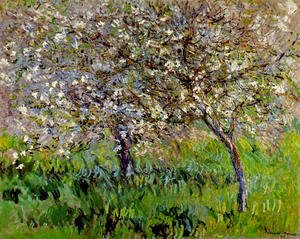 Apple Trees In Bloom At Giverny
