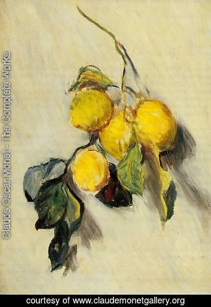 Claude Monet - Branch Of Lemons