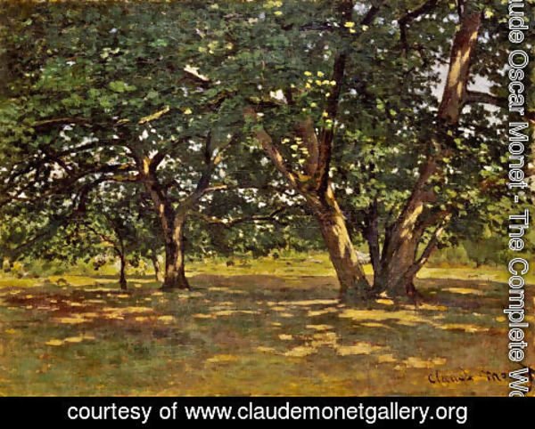 Claude Monet - Fontainebleau Forest