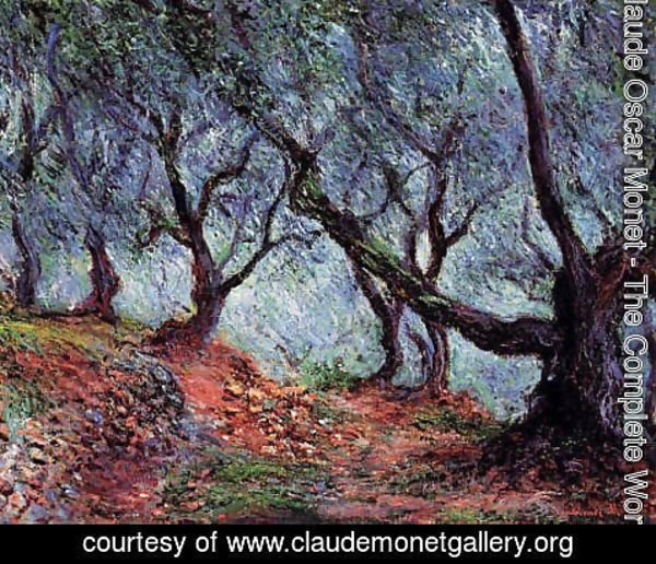 Claude Monet - Grove Of Olive Trees In Bordighera
