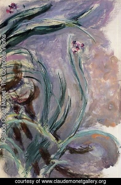 Claude Monet - Irises2