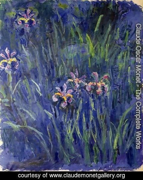 Claude Monet - Irises3