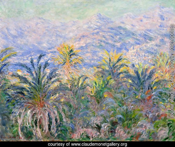 Palm Trees At Bordighera
