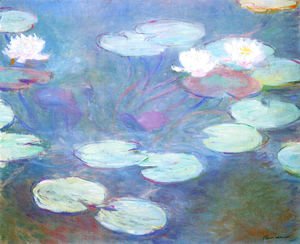 Pink Water Lilies