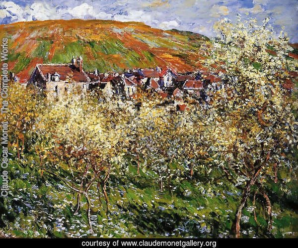 Plum Trees In Blossom At Vetheuil