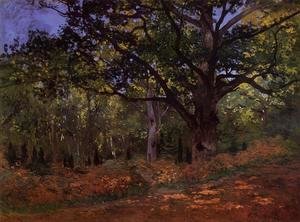 Claude Monet - The Bodmer Oak  Fontainebleau