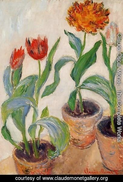 Claude Monet Three Pots Of Tulips Painting Reproduction ...