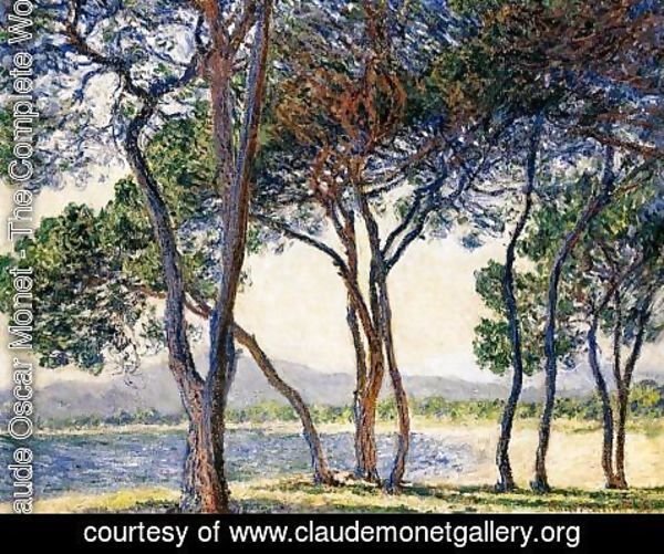 Claude Monet - Trees By The Seashore At Antibes