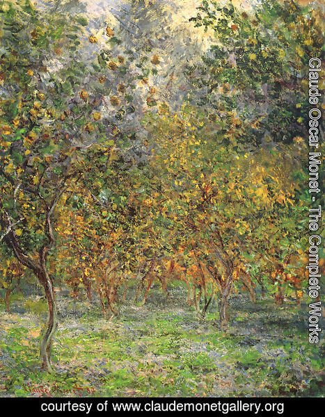 Claude Monet - Under The Lemon Trees