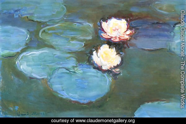 Water Lilies8