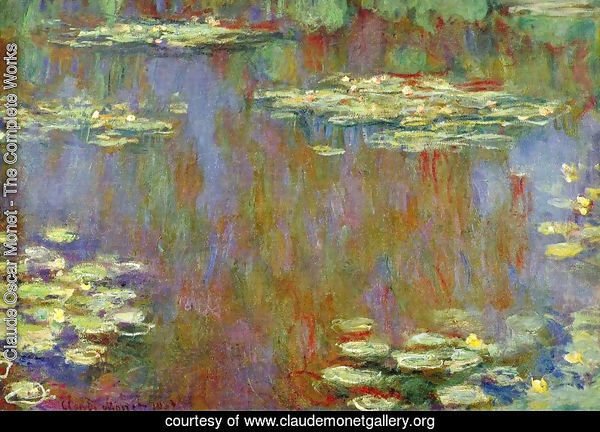 Water Lilies31