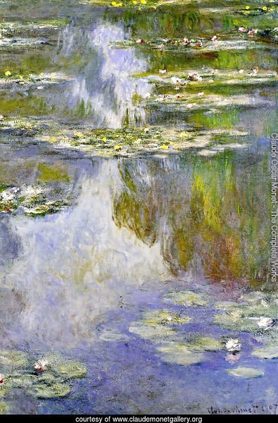 Water Lilies37