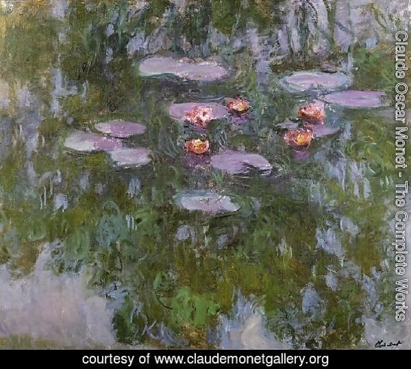 Water Lilies41