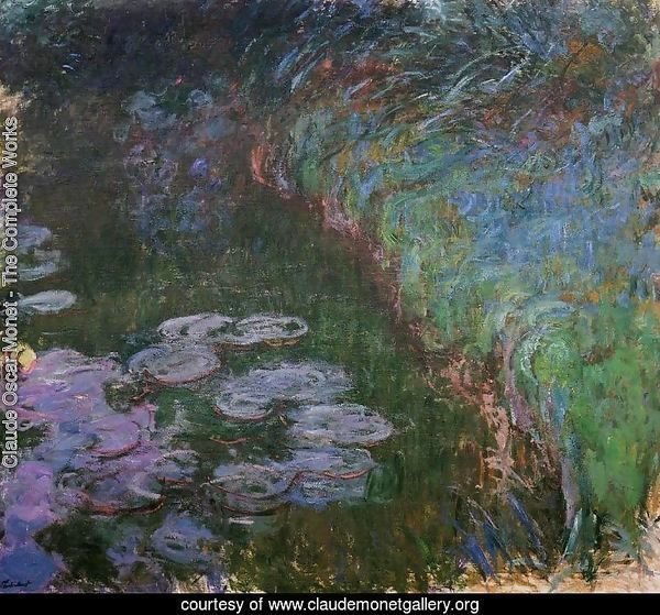 Water Lilies47