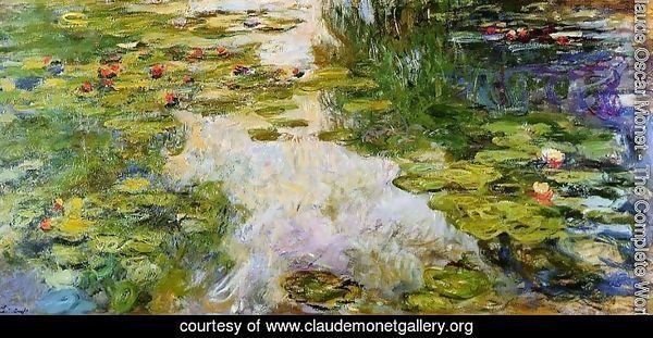 Water Lilies48