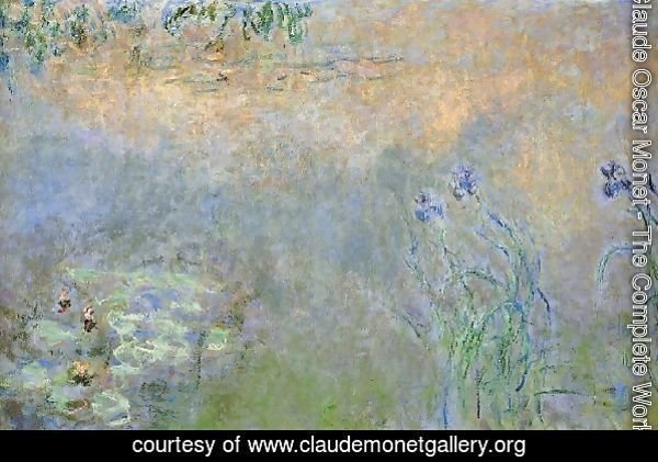Water Lily Pond With Irises