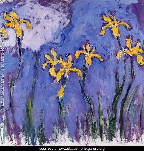 Yellow Irises With Pink Cloud